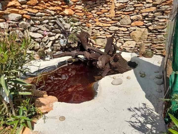 3 bedroom Finca/Country House for sale in Lliber - € 199,000 (Ref: 8689115)