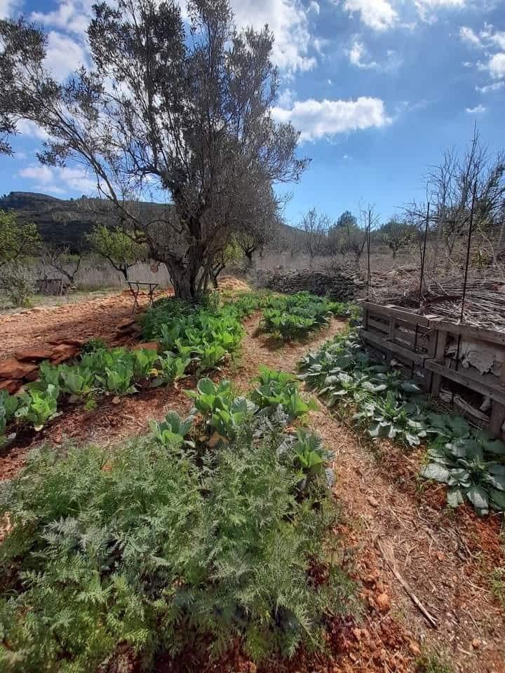 3 bedroom Finca/Country House for sale in Lliber - € 199,000 (Ref: 8689115)