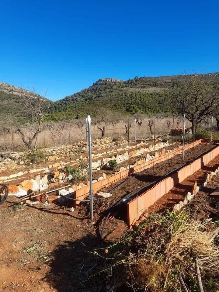 3 bedroom Finca/Country House for sale in Lliber - € 199,000 (Ref: 8689115)