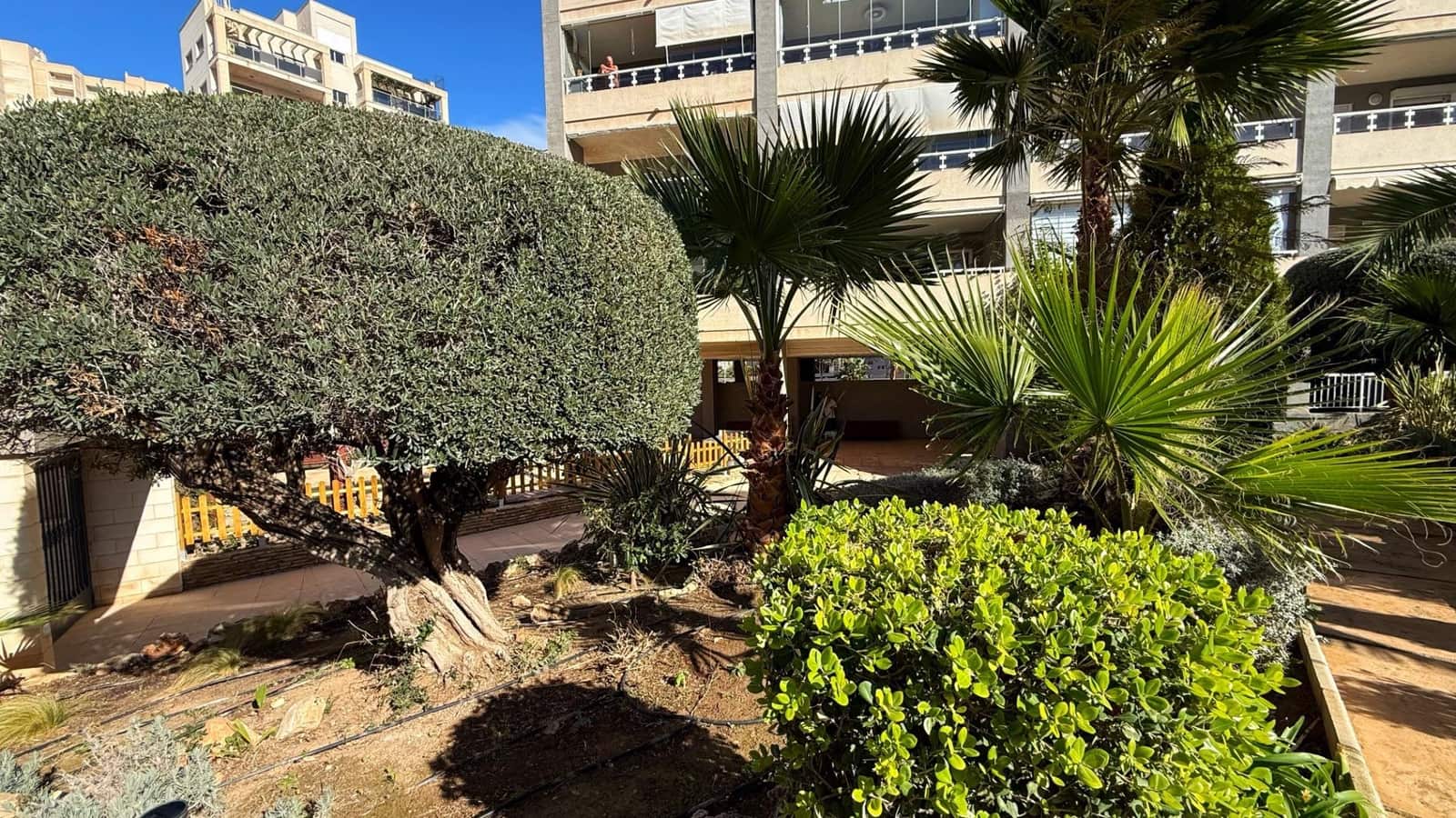 1 chambre Appartement à vendre à Calpe / Calp avec piscine garage - 299 000 € (Ref: 9949836)