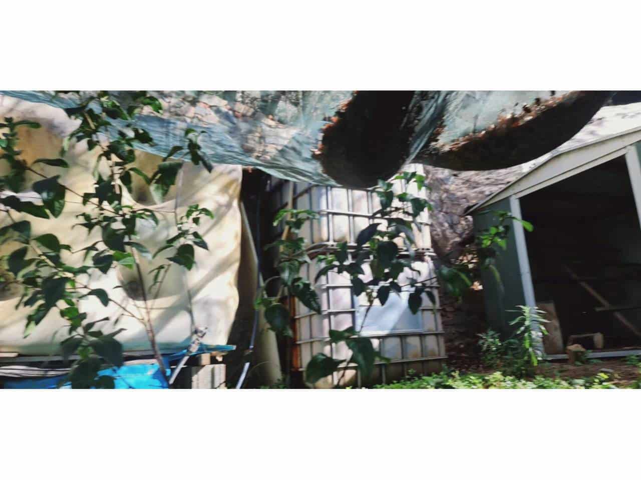 Byggetomt til salgs i Sant Fost de Campsentelles - € 150 000 (Ref: 8900745)