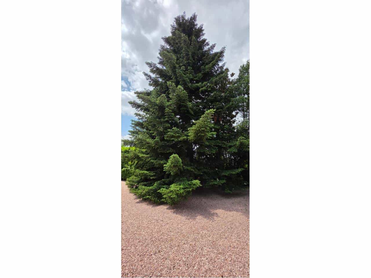 10 soveværelse Finca/Landehus til salg i Les Franqueses del Valles med garage - € 750.000 (Ref: 8900759)