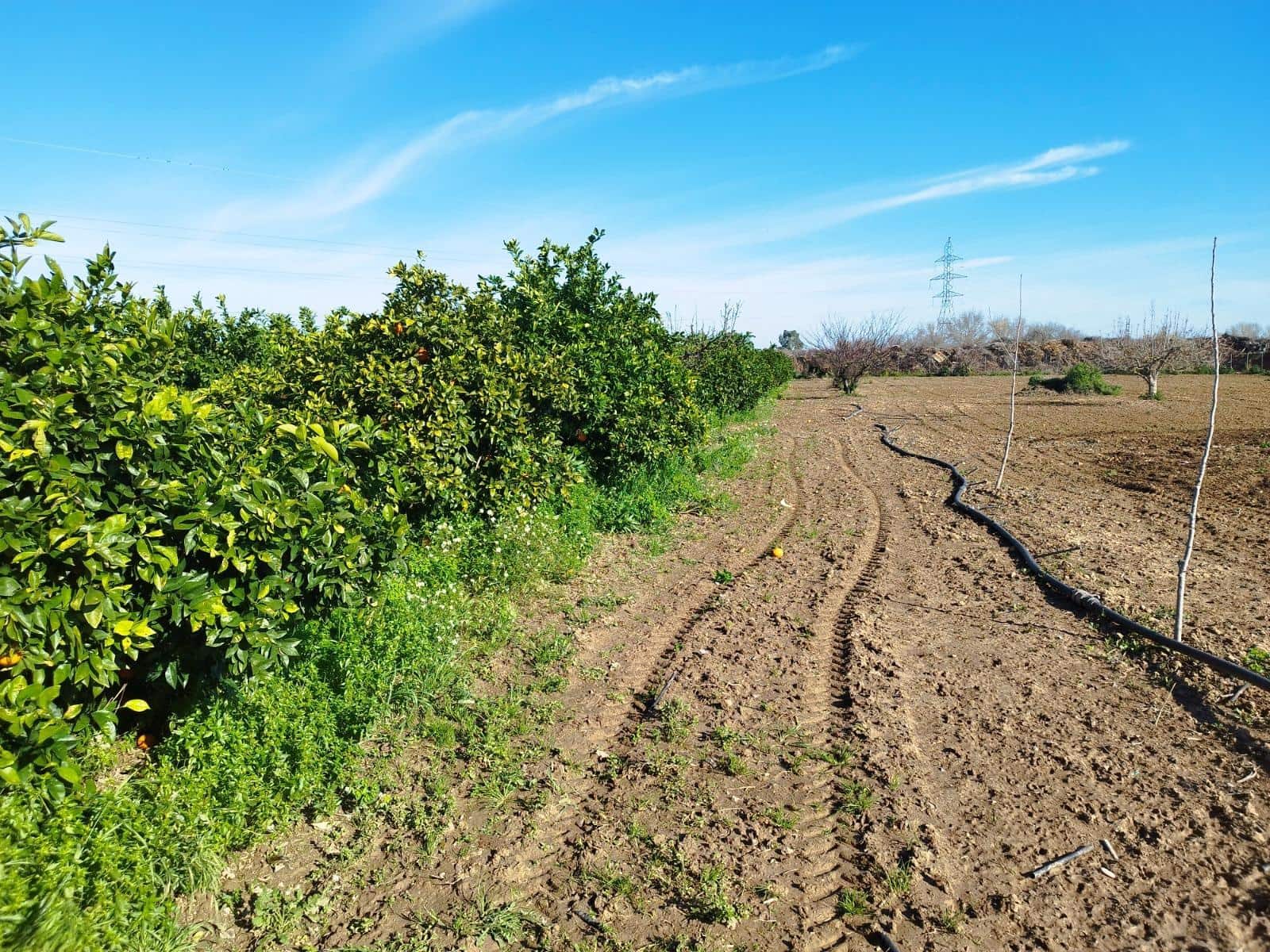 Terreno para Construção para venda em Sevilha cidade - 240 000 € (Ref: 10005712)