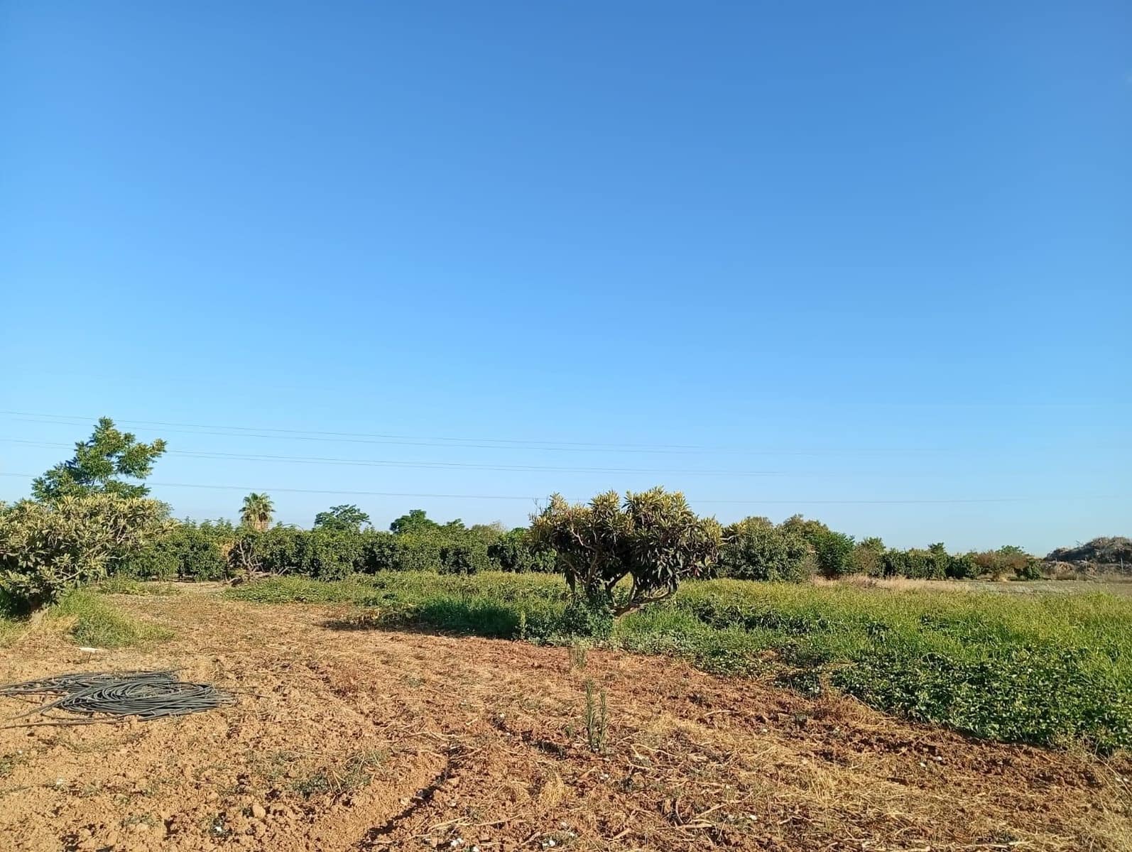 Terreno para Construção para venda em Sevilha cidade - 240 000 € (Ref: 10005712)
