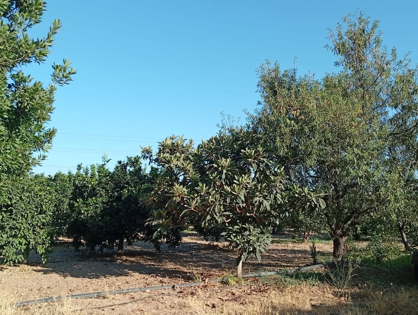 Terreno para Construção para venda em Sevilha cidade - 240 000 € (Ref: 10005712)