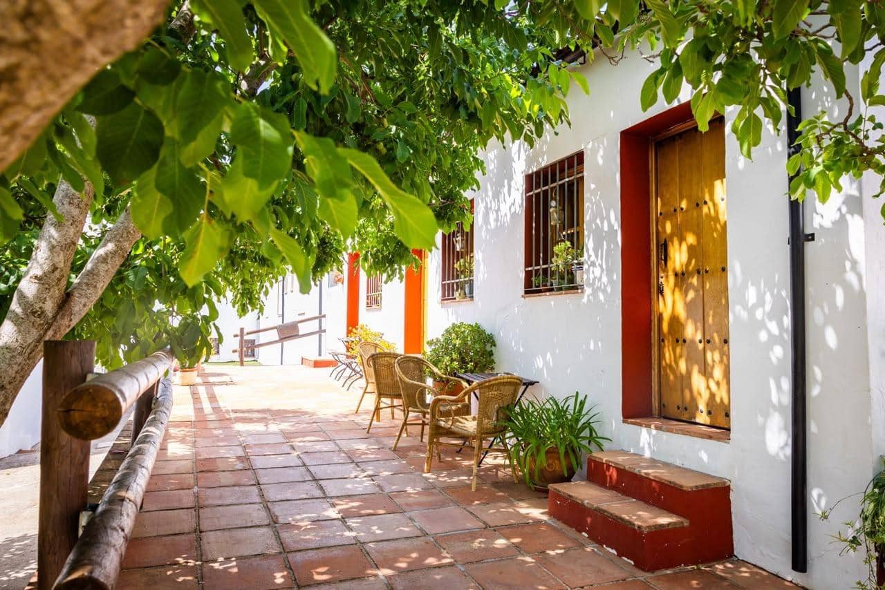 Finca/Casa Rural de 28 habitaciones en Montejaque en venta con piscina - 3.181.500 € (Ref: 10006360)