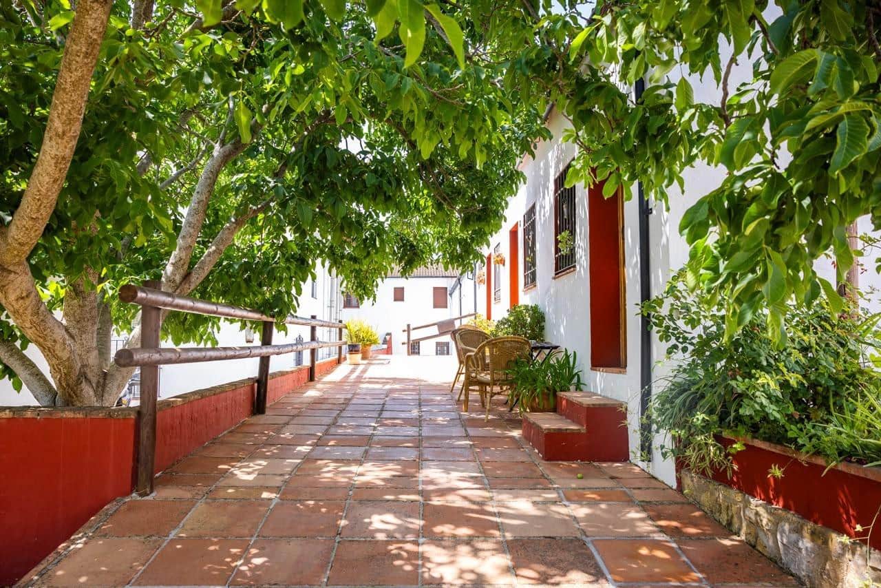 Finca/Casa Rural de 28 habitaciones en Montejaque en venta con piscina - 3.181.500 € (Ref: 10006360)