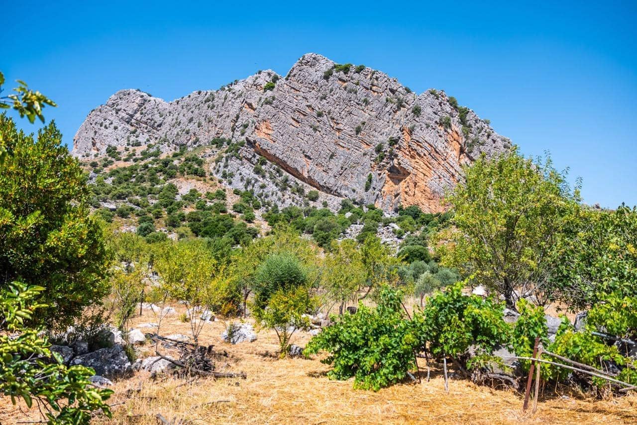 Finca/Casa Rural de 28 habitaciones en Montejaque en venta con piscina - 3.181.500 € (Ref: 10006360)