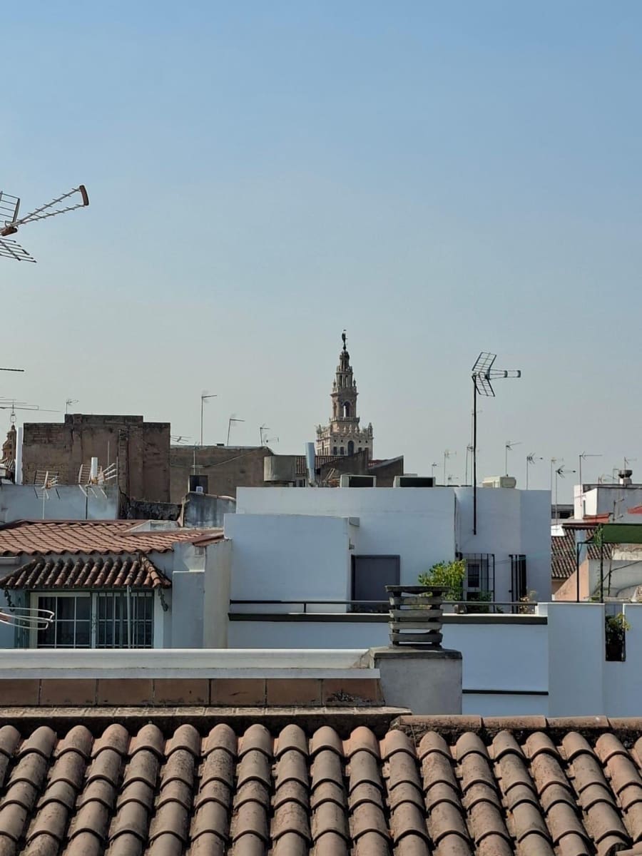 Studio zu verkaufen in Sevilla Stadt - 154.500 € (Ref: 10015661)