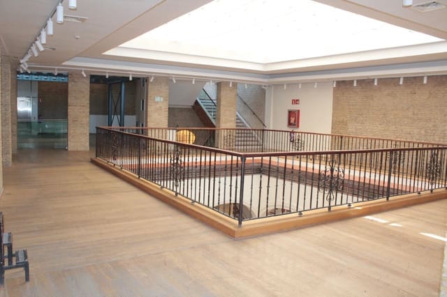 Commercial for rent in Seville city - € 3,250 (Ref: 10021009)