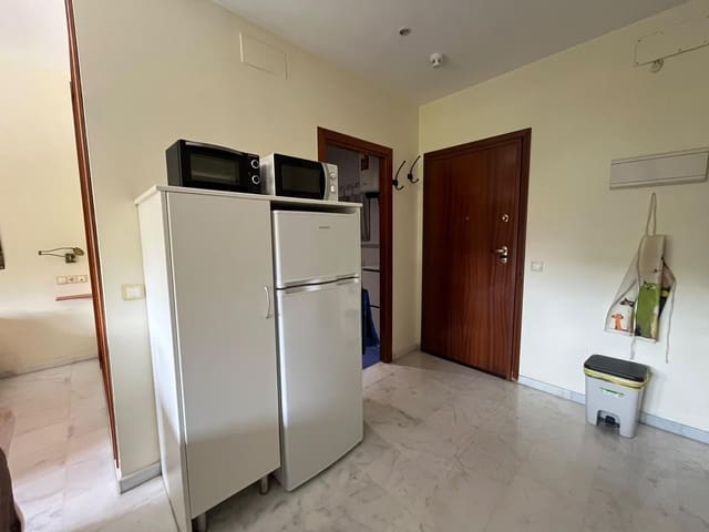 1 bedroom Studio for rent in Seville city - € 700 (Ref: 10129648)