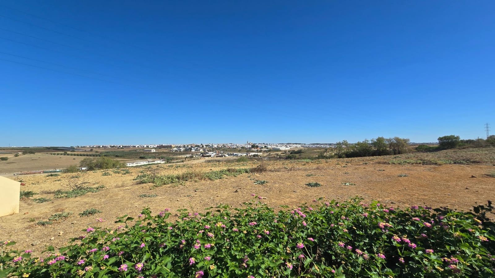 4 bedroom Finca/Country House for sale in Moguer with pool garage - € 650,000 (Ref: 10168539)