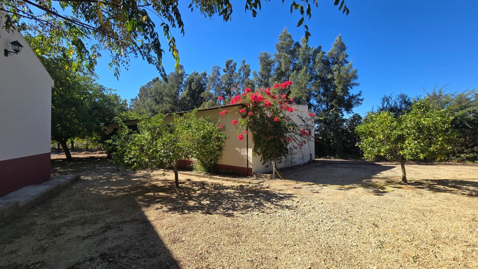 4 bedroom Finca/Country House for sale in Moguer with pool garage - € 650,000 (Ref: 10168539)