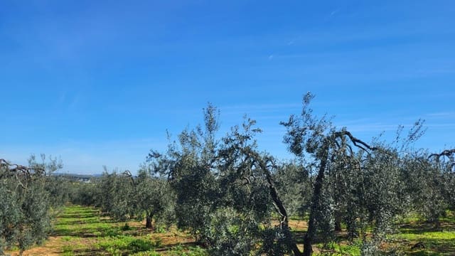 4 soveværelse Finca/Landehus til salg i Pilas med swimmingpool - € 250.000 (Ref: 8308771)