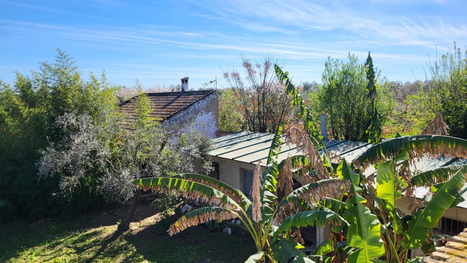 4 soveværelse Finca/Landehus til salg i Pilas med swimmingpool - € 250.000 (Ref: 8308771)