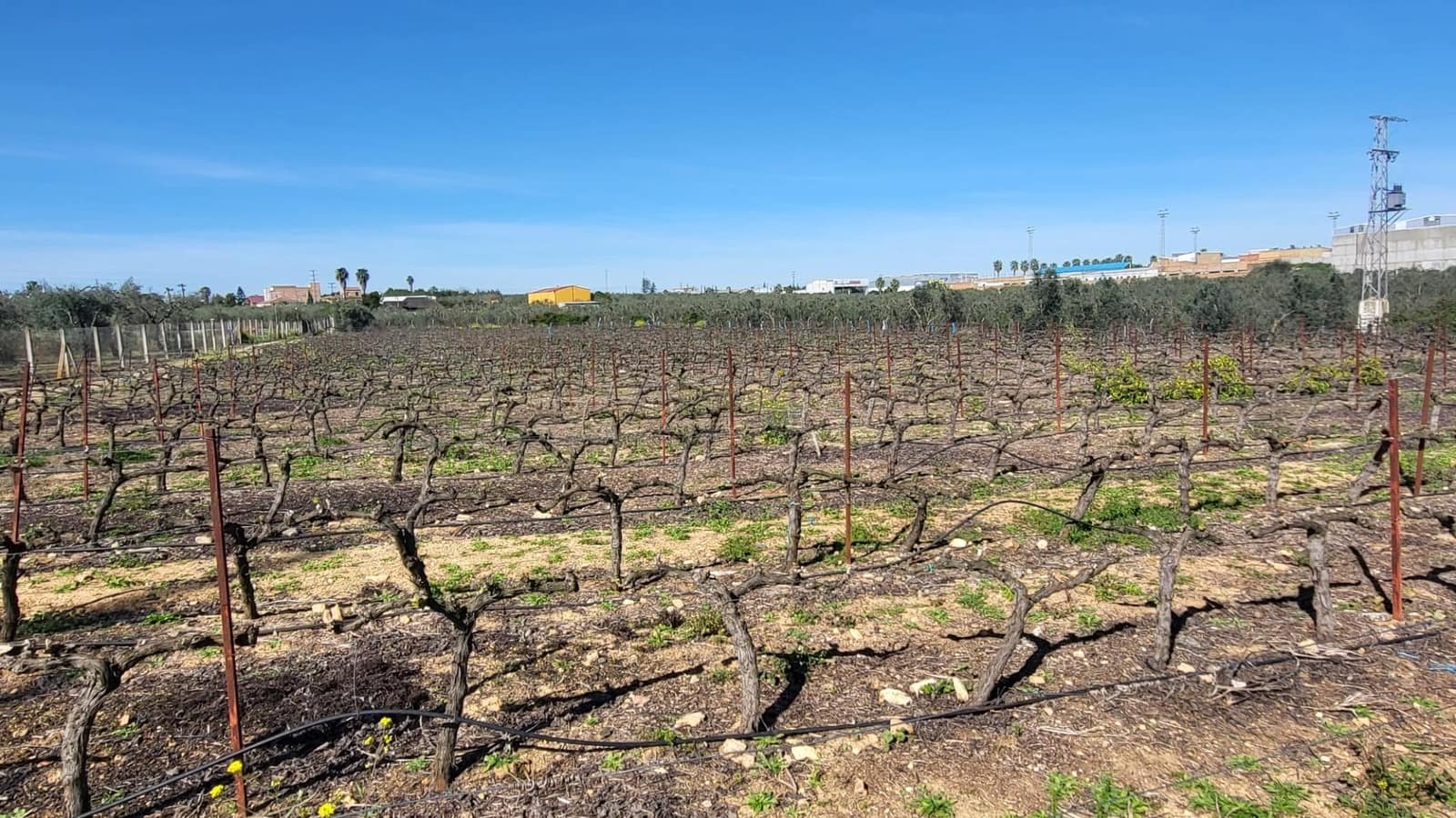 4 soveværelse Finca/Landehus til salg i Pilas med swimmingpool - € 250.000 (Ref: 8308771)