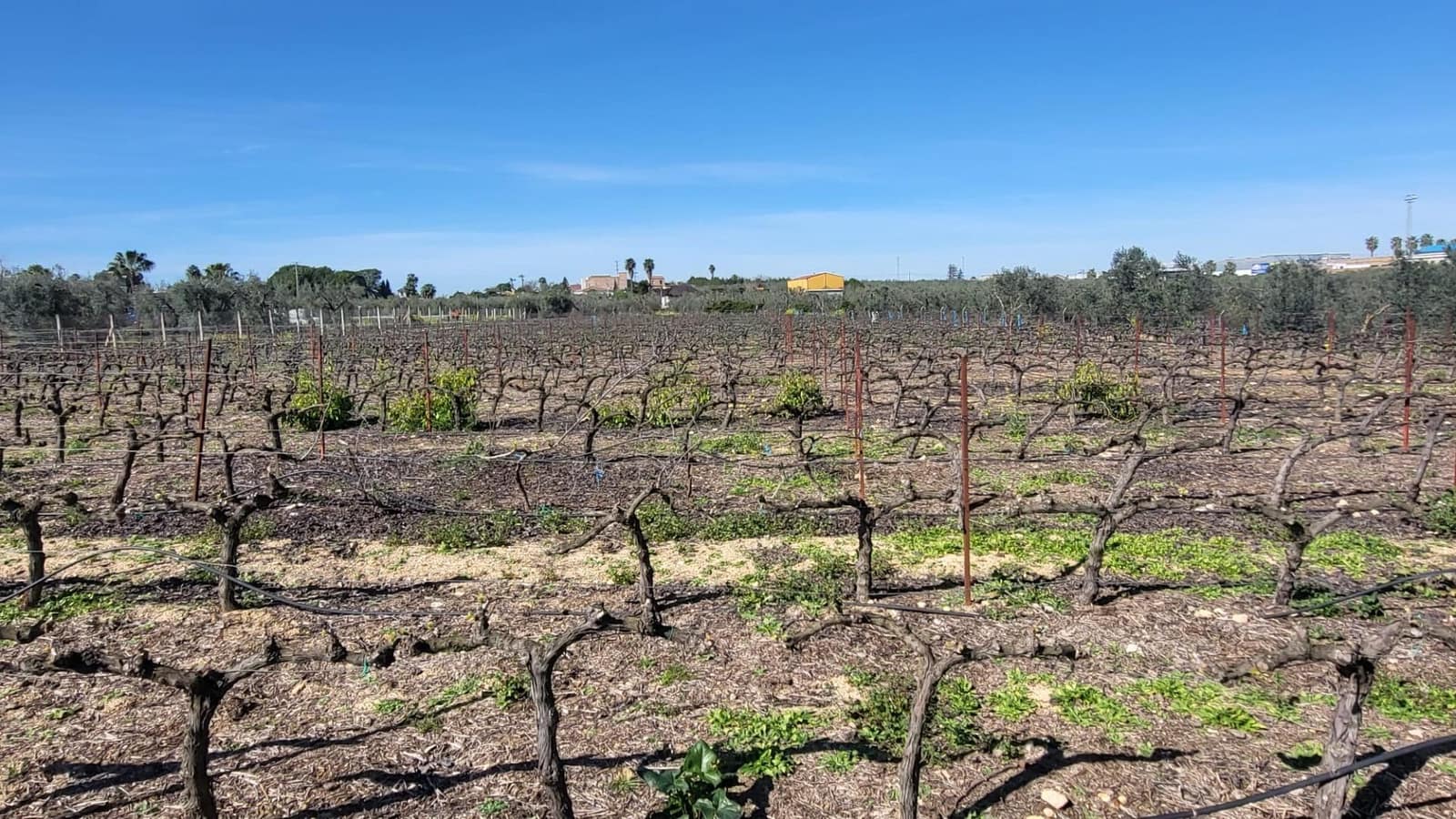 4 soveværelse Finca/Landehus til salg i Pilas med swimmingpool - € 250.000 (Ref: 8308771)