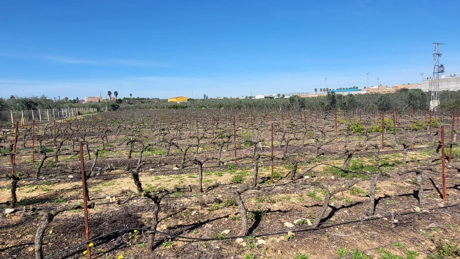 4 soveværelse Finca/Landehus til salg i Pilas med swimmingpool - € 250.000 (Ref: 8308771)