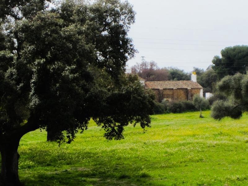 3 soveværelse Finca/Landehus til salg i Cala med garage - € 99.000 (Ref: 8308779)