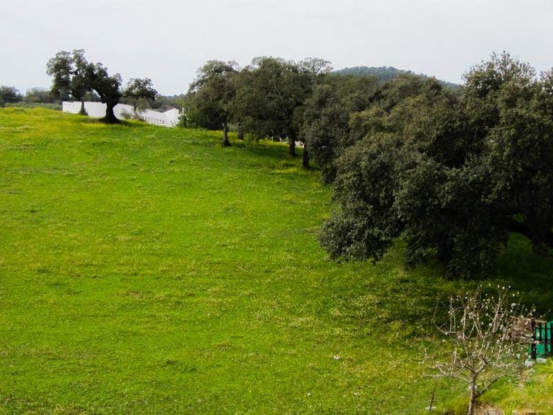 3 soveværelse Finca/Landehus til salg i Cala med garage - € 99.000 (Ref: 8308779)