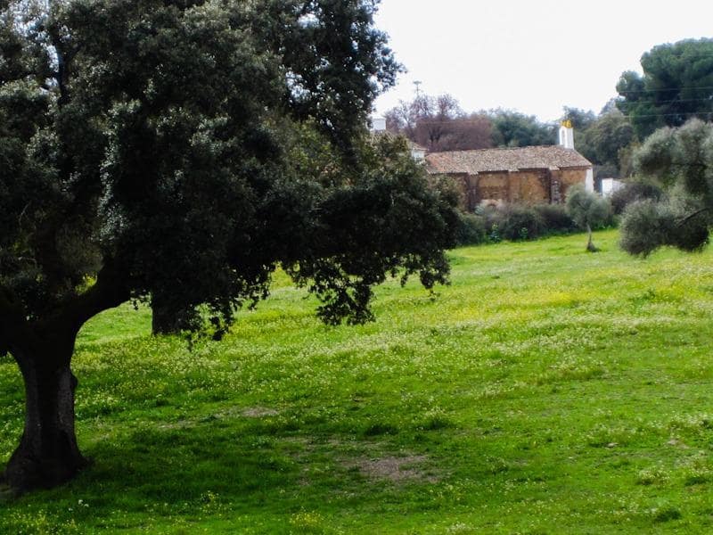 3 soveværelse Finca/Landehus til salg i Cala med garage - € 99.000 (Ref: 8308779)