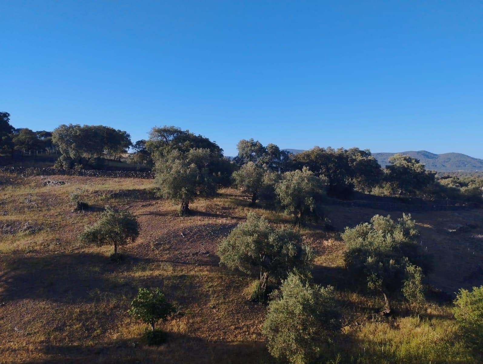 4 soveværelse Villa til salg i Cala med swimmingpool - € 150.000 (Ref: 8311014)