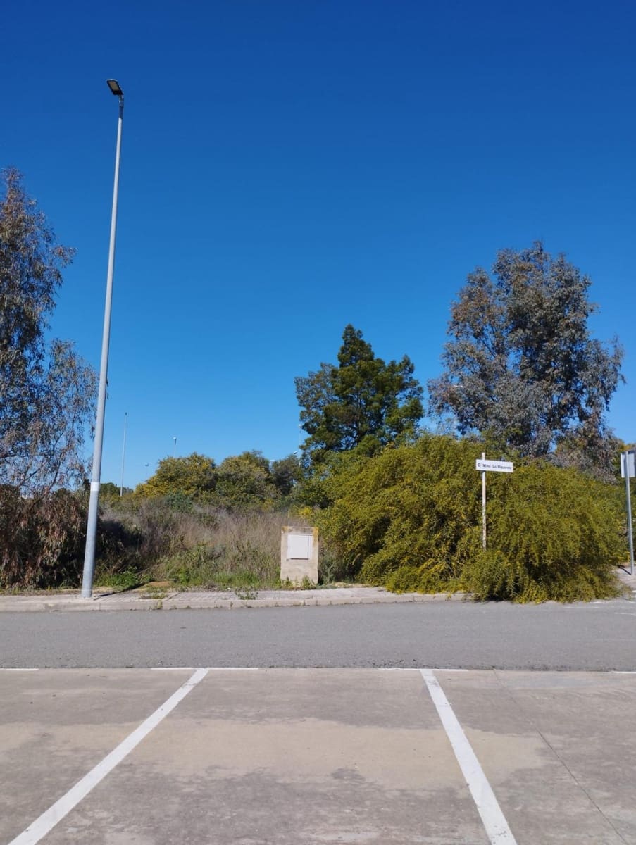 Byggegrund til salg i Aznalcollar - € 600.000 (Ref: 8316354)