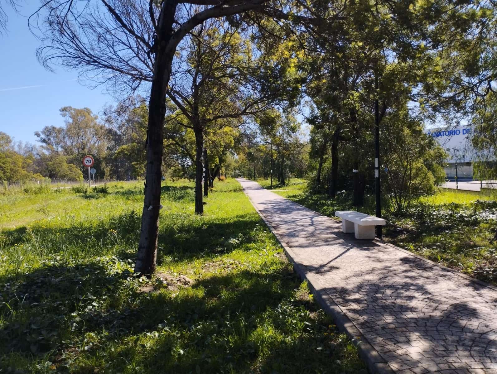 Byggegrund til salg i Aznalcollar - € 600.000 (Ref: 8316354)