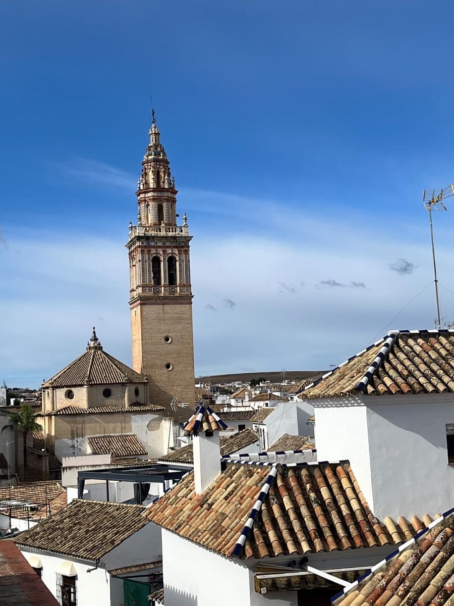 3 soveværelse Lejlighed til salg i Ecija - € 128.900 (Ref: 8610496)