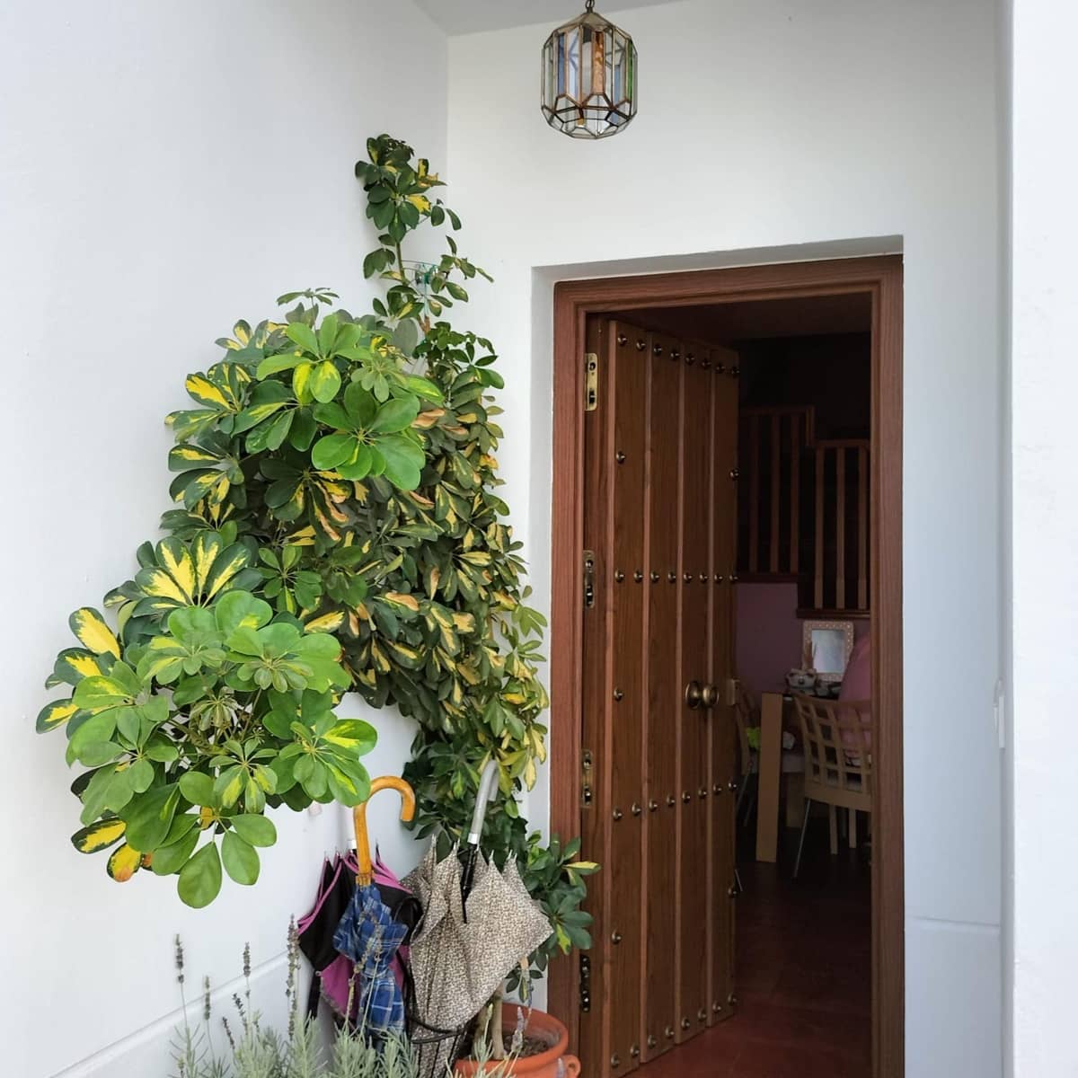 4 soveværelse Rækkehus til salg i Cazalla de la Sierra - € 207.260 (Ref: 8623635)