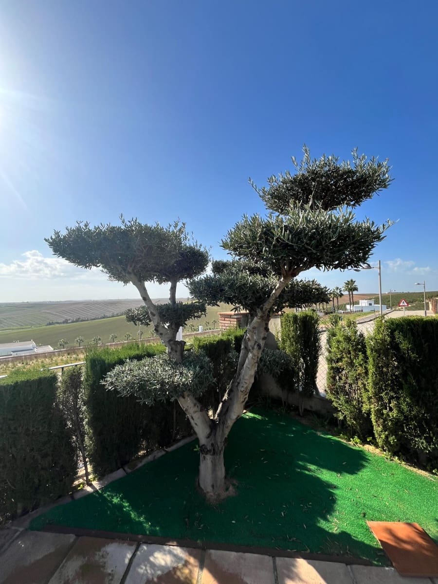 4 bedroom Villa for sale in Ecija with pool - € 700,000 (Ref: 8652177)