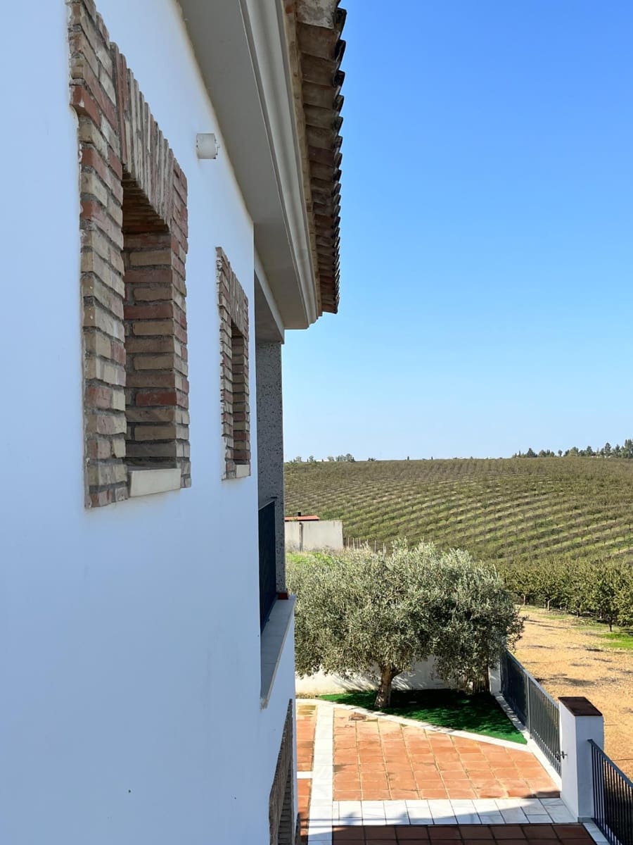 4 bedroom Villa for sale in Ecija with pool - € 700,000 (Ref: 8652177)