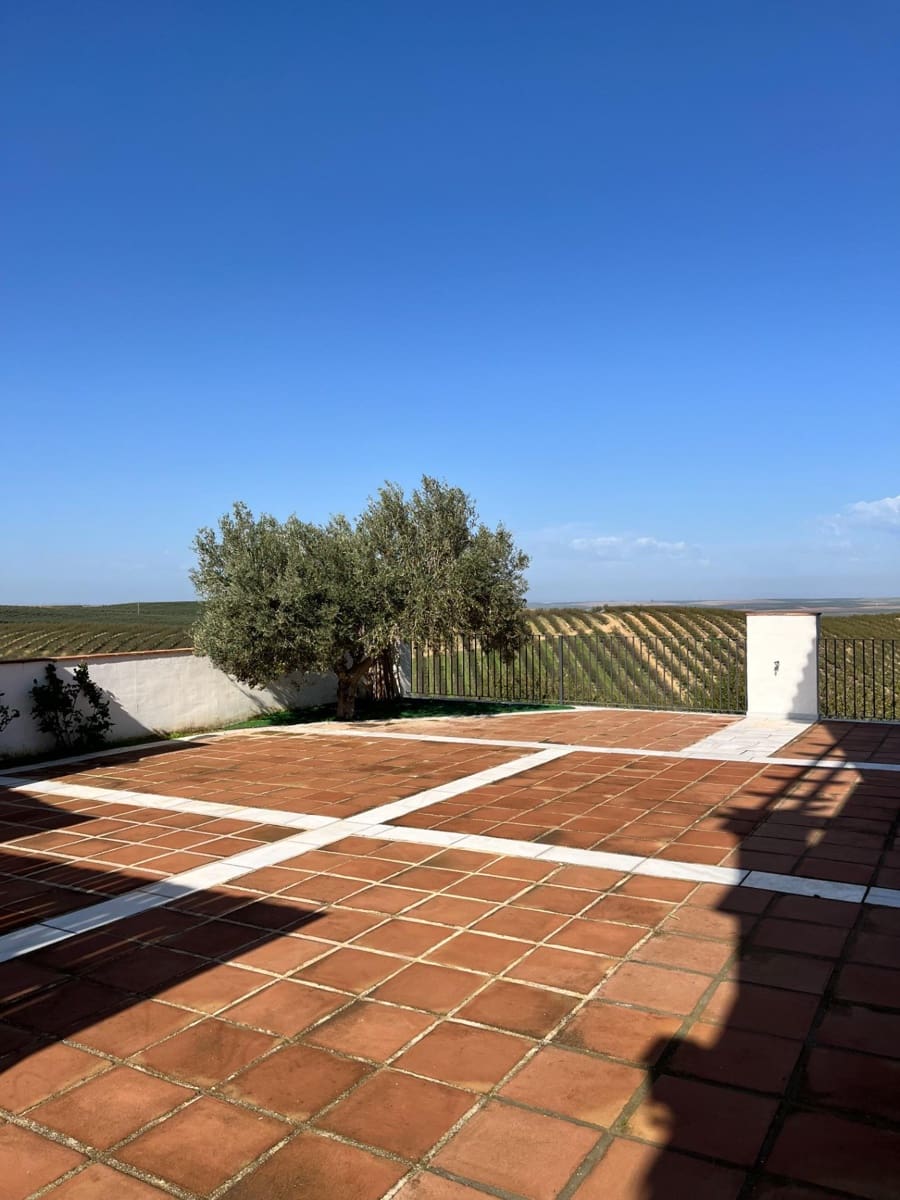 4 bedroom Villa for sale in Ecija with pool - € 700,000 (Ref: 8652177)