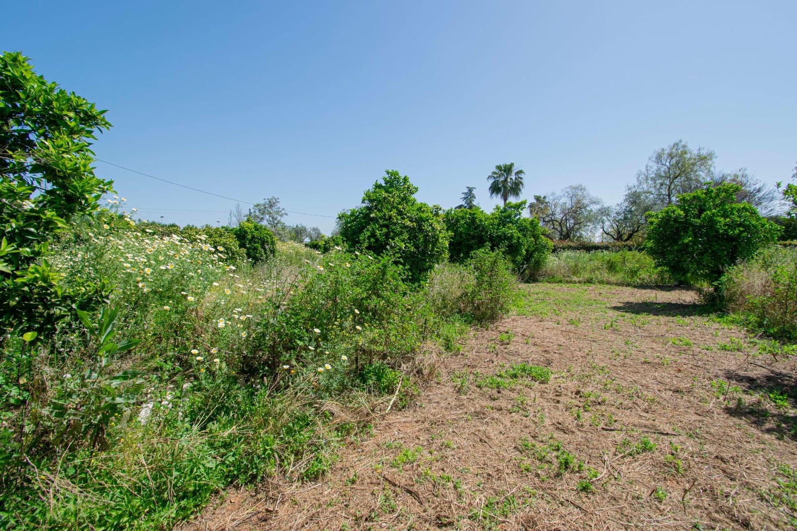 5 Zimmer Villa zu verkaufen in Espartinas mit Pool - 470.000 € (Ref: 8889243)