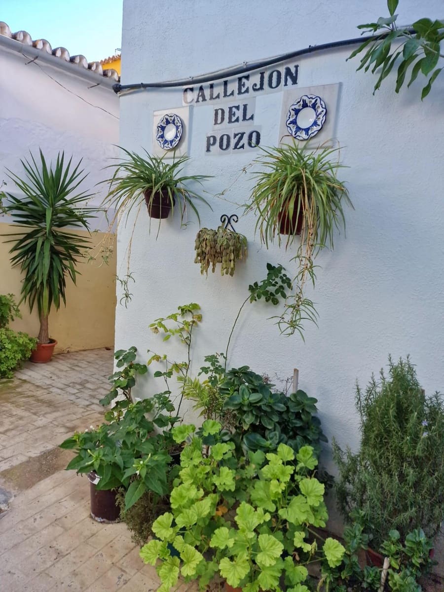 2 soveværelse Restaurant/Bar til salg i Villanueva de San Juan - € 159.075 (Ref: 8911198)