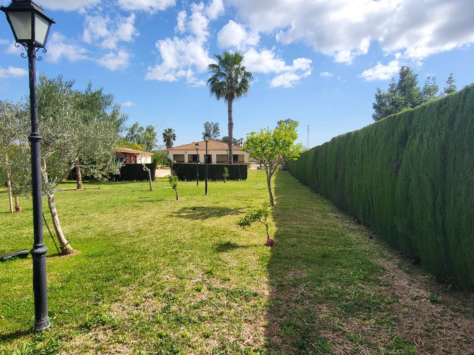 5 soveværelse Villa til salg i Pilas med swimmingpool - € 315.000 (Ref: 8932303)