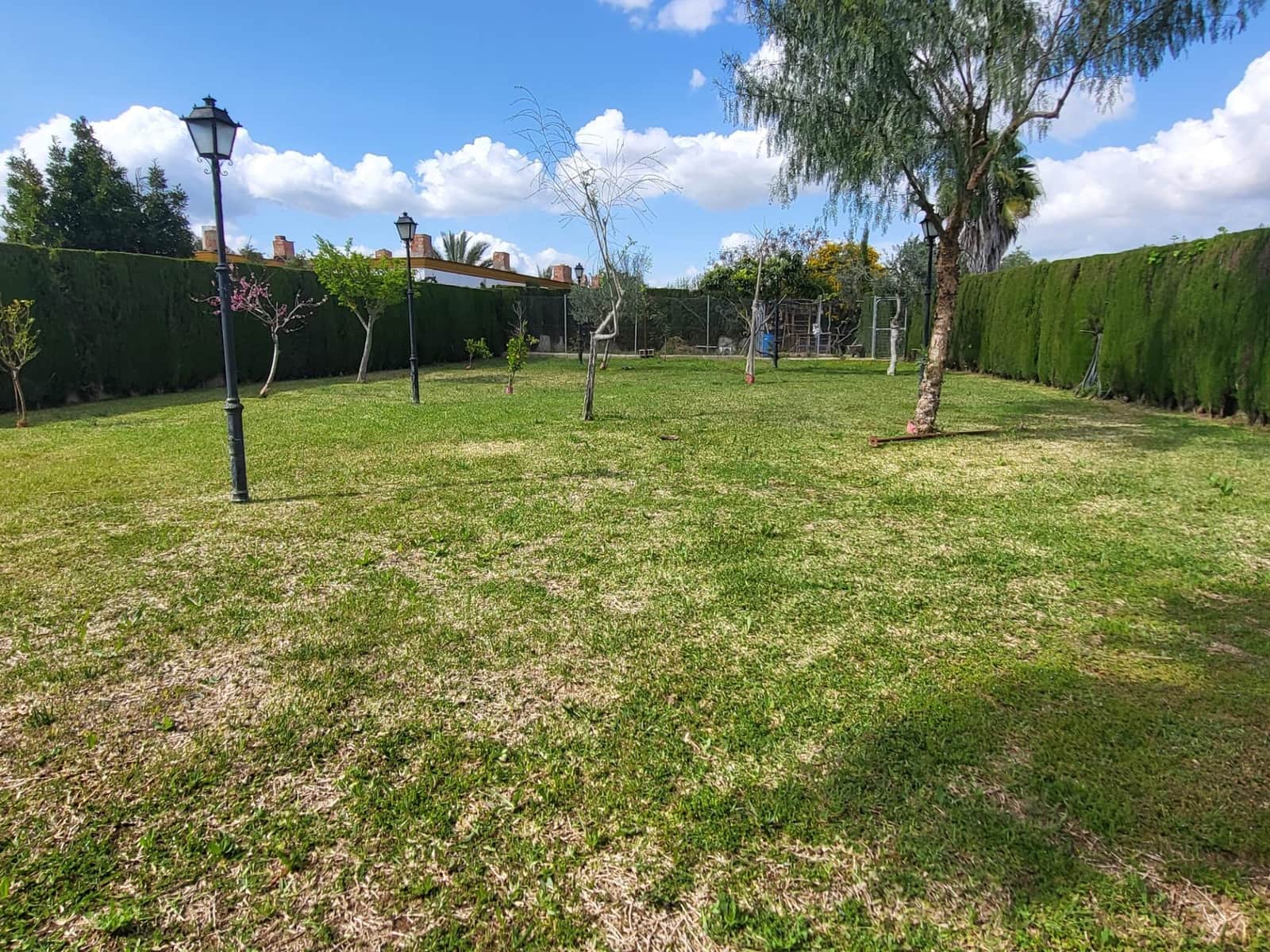 5 soveværelse Villa til salg i Pilas med swimmingpool - € 315.000 (Ref: 8932303)