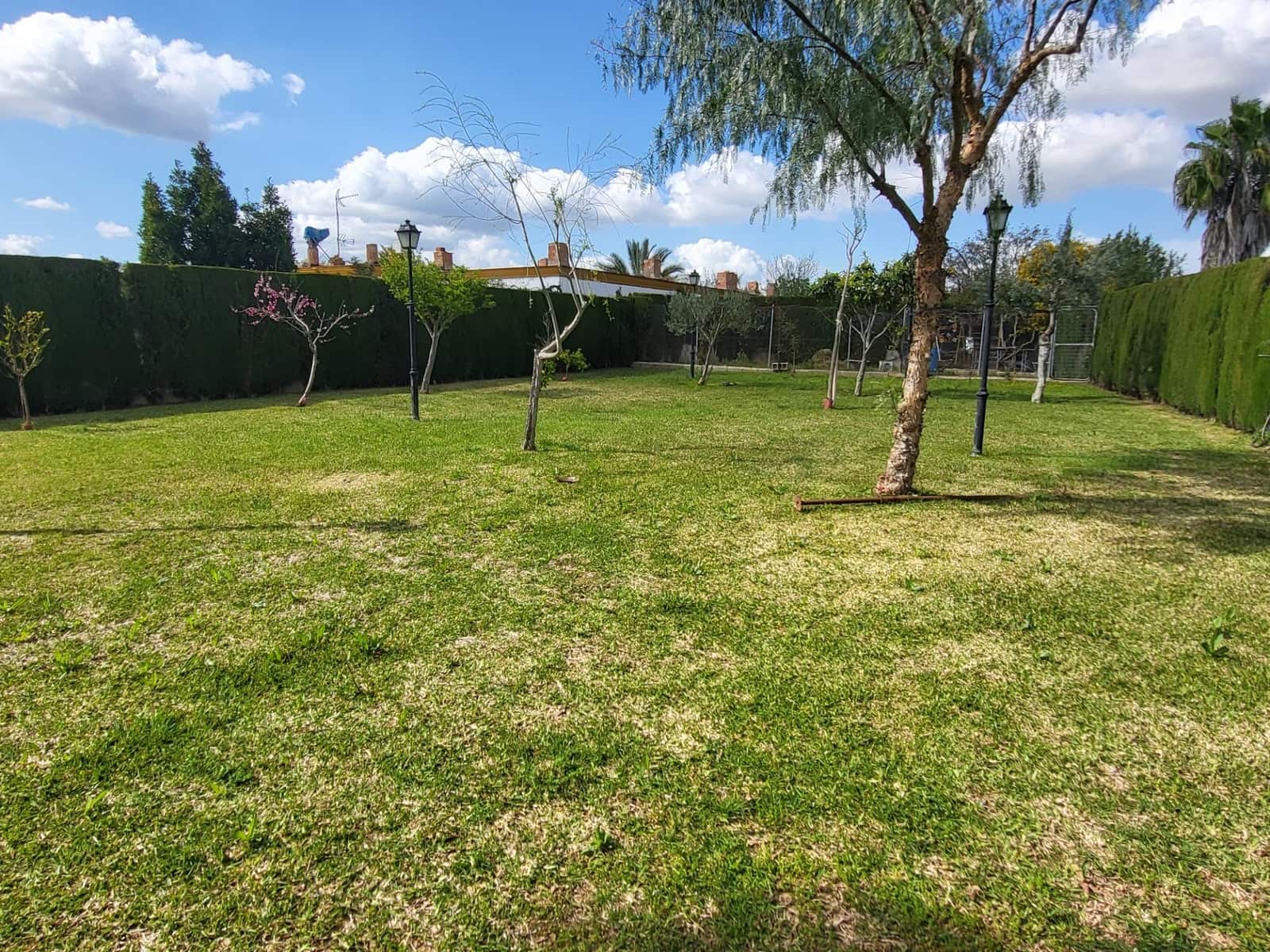 5 soveværelse Villa til salg i Pilas med swimmingpool - € 315.000 (Ref: 8932303)