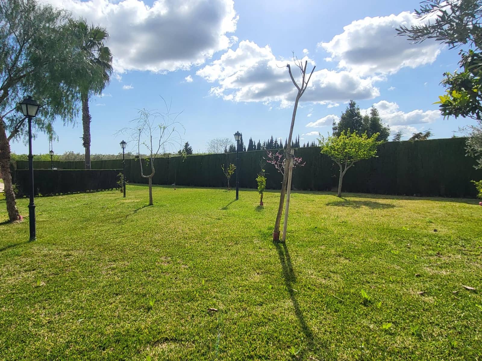 5 soveværelse Villa til salg i Pilas med swimmingpool - € 315.000 (Ref: 8932303)