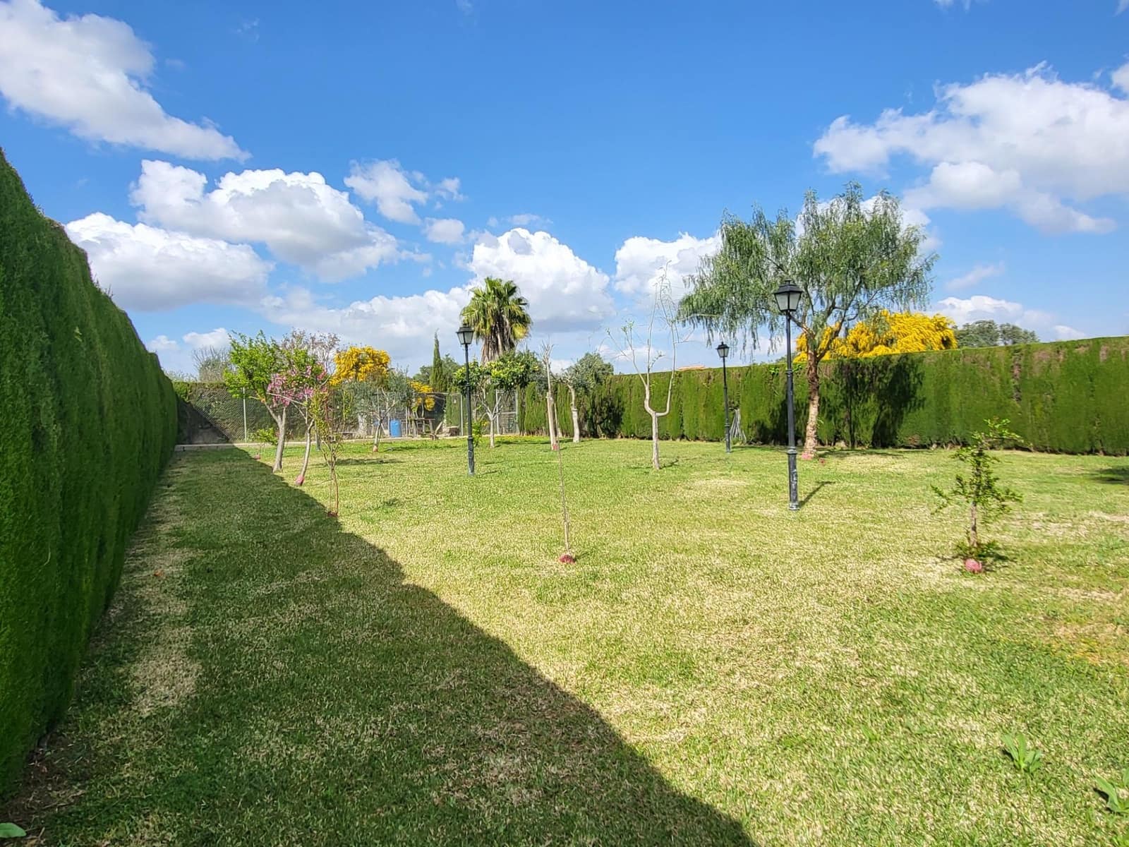 5 soveværelse Villa til salg i Pilas med swimmingpool - € 315.000 (Ref: 8932303)