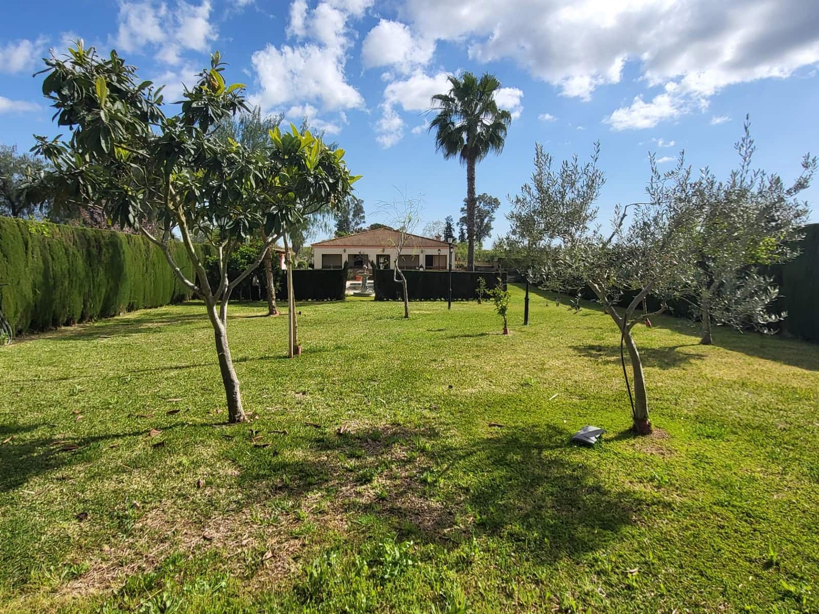 5 soveværelse Villa til salg i Pilas med swimmingpool - € 315.000 (Ref: 8932303)