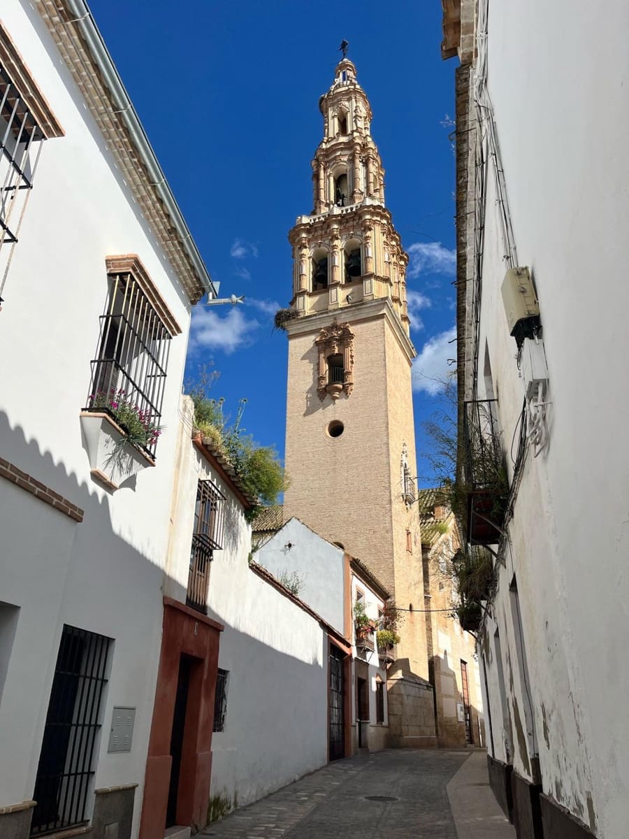 Działka budowlana na sprzedaż w Ecija - 350 000 € (Ref: 8941454)