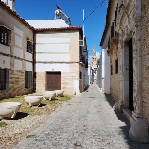 Tomt till salu i Ecija - 350 000 € (Ref: 8941454)