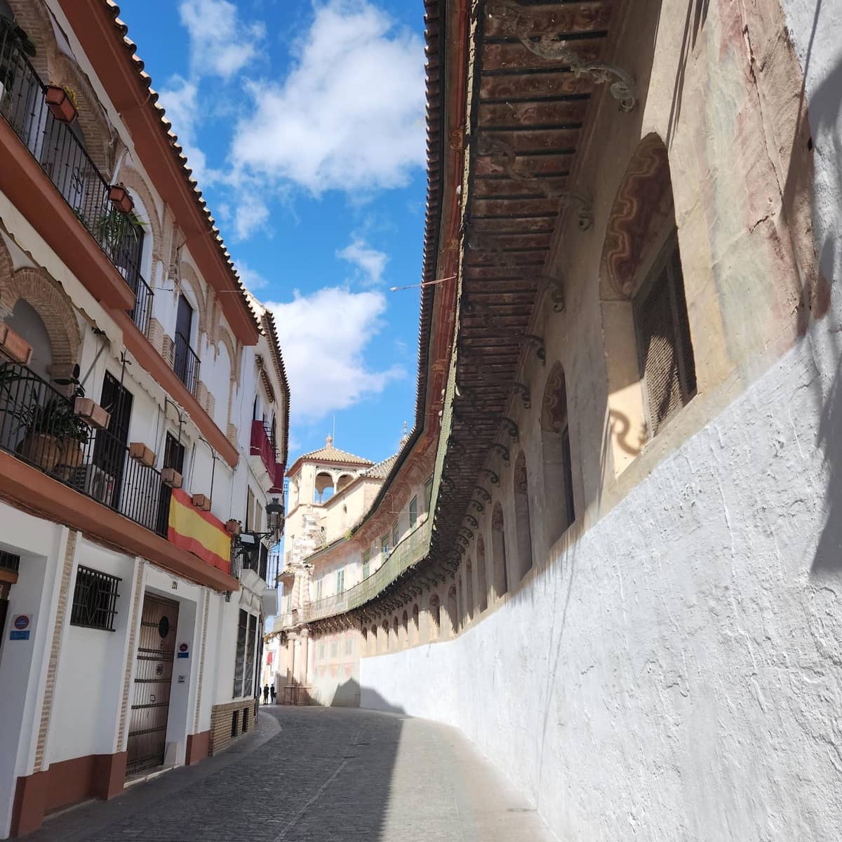 Działka budowlana na sprzedaż w Ecija - 350 000 € (Ref: 8941454)