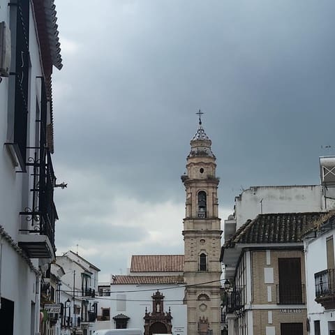 Ruina na sprzedaż w Ecija - 120 000 € (Ref: 8982424)