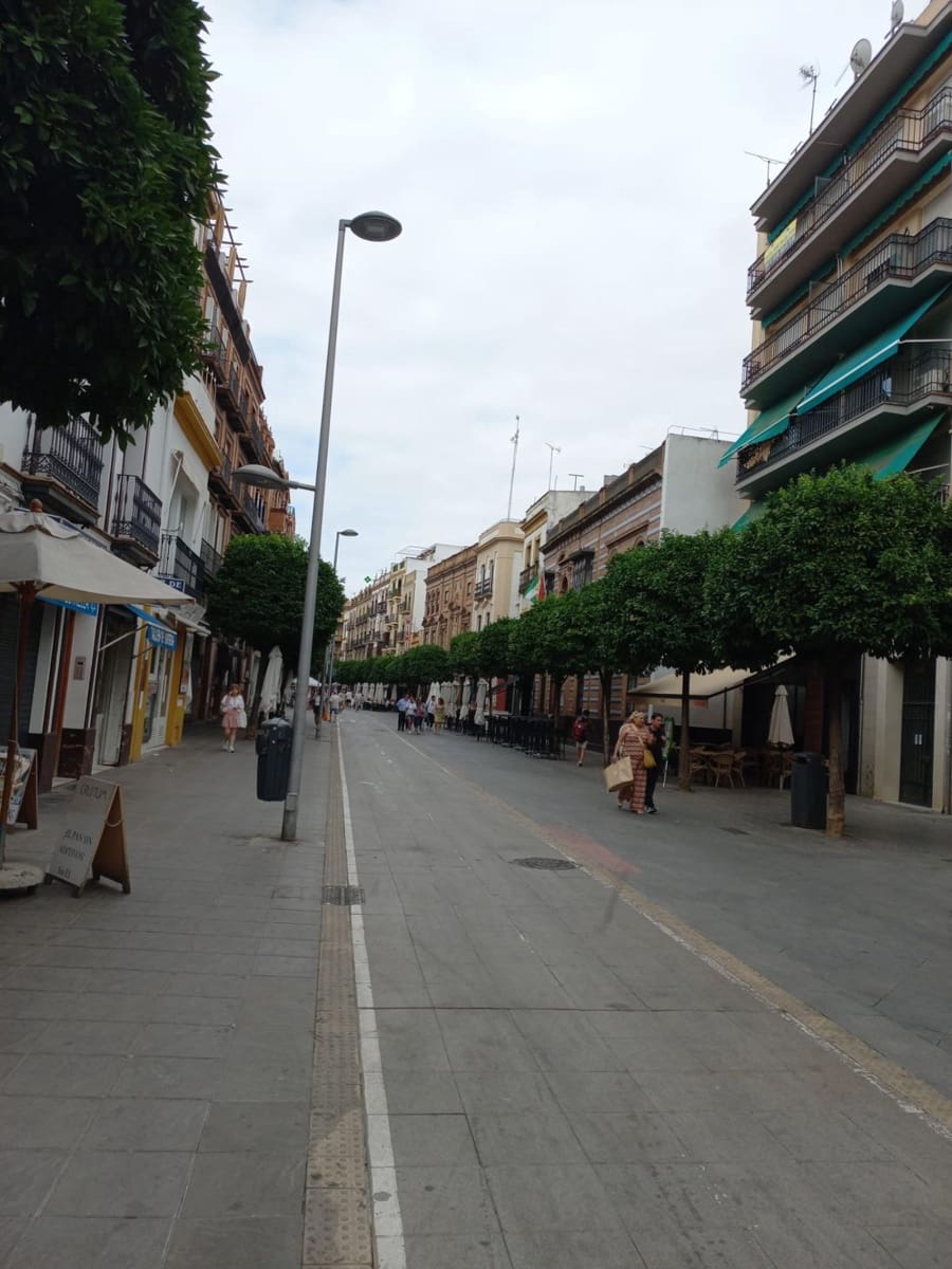 Piso de 4 habitaciones en Sevilla ciudad en venta - 540.000 € (Ref: 9023527)