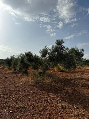 Grunde uden byggetilladelser til salg i Carmona - € 55.000 (Ref: 9085343)