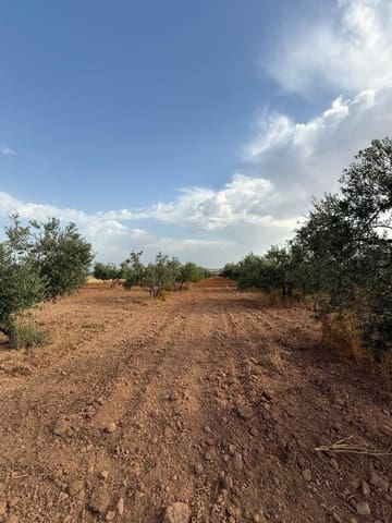 Grunde uden byggetilladelser til salg i Carmona - € 55.000 (Ref: 9085343)