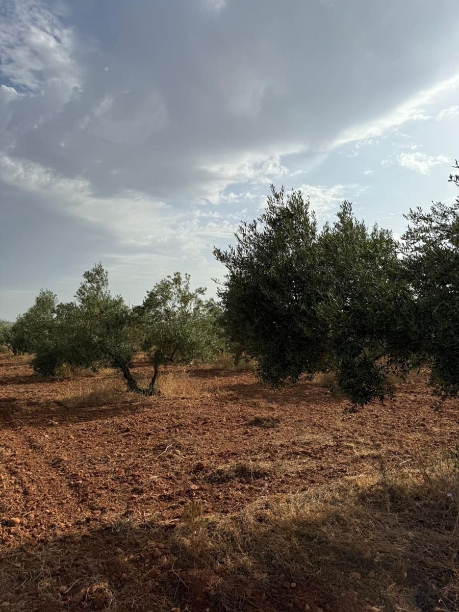 Mark till salu i Carmona - 55 000 € (Ref: 9085343)