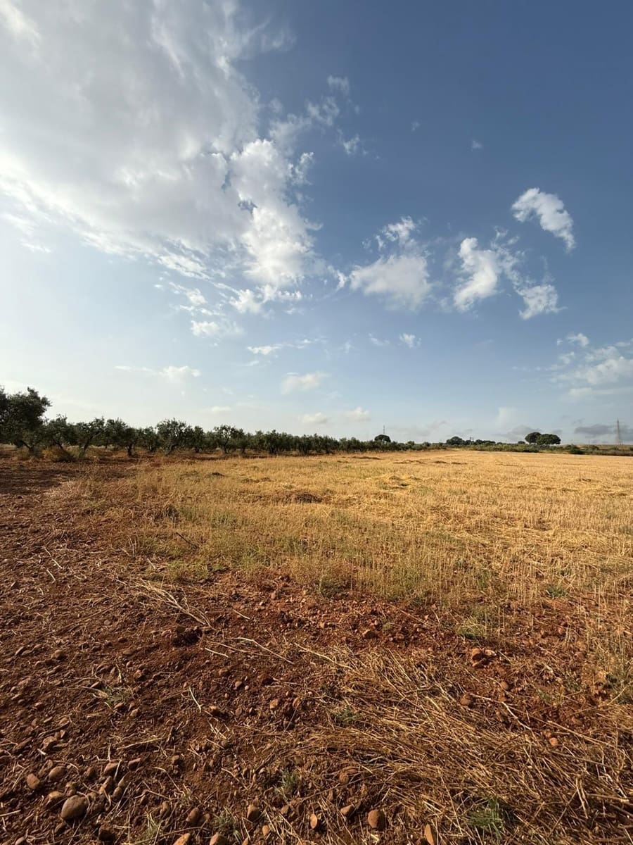 Mark till salu i Carmona - 55 000 € (Ref: 9085343)